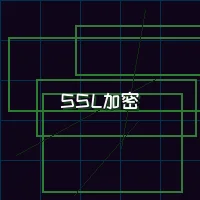 91wangzhan 量子加密网络SSL安全认证
